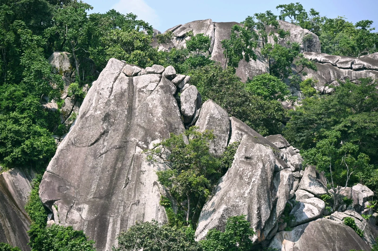Formation rocheuse et forêt dans une zone explorée par PBCA, RDC